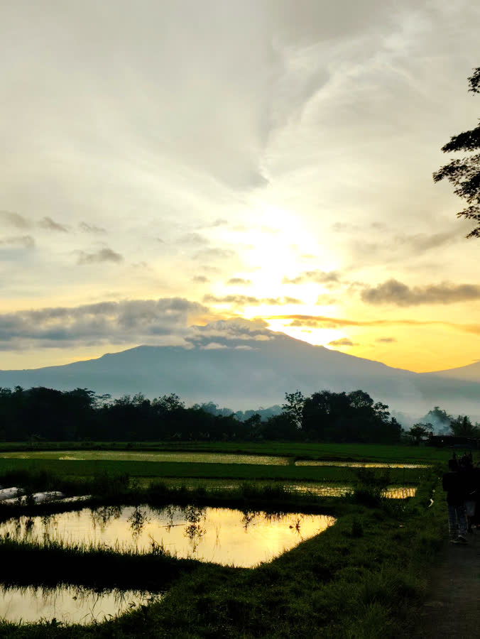 Travel